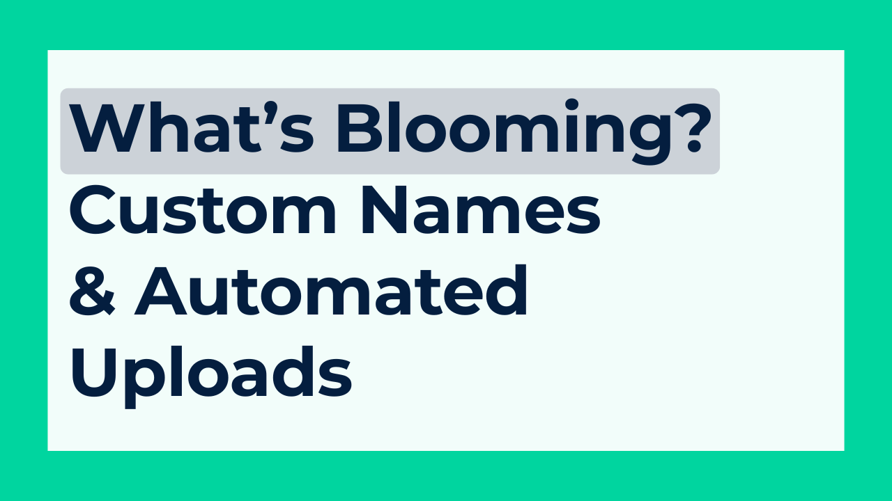 Your Data, Your Way: Custom Names & Automated Uploads